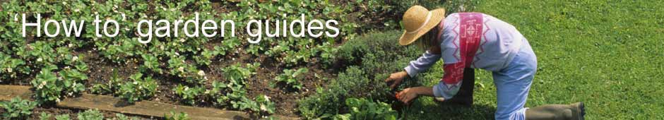 Garden Guides