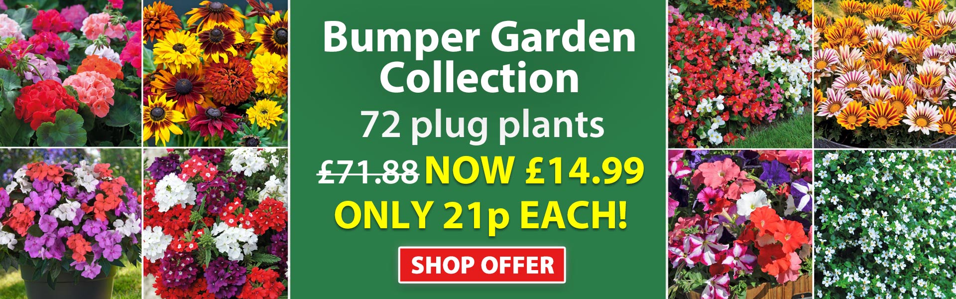 Bumper Garden Collection