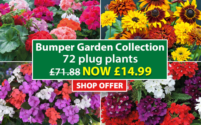 Bumper Garden Collection