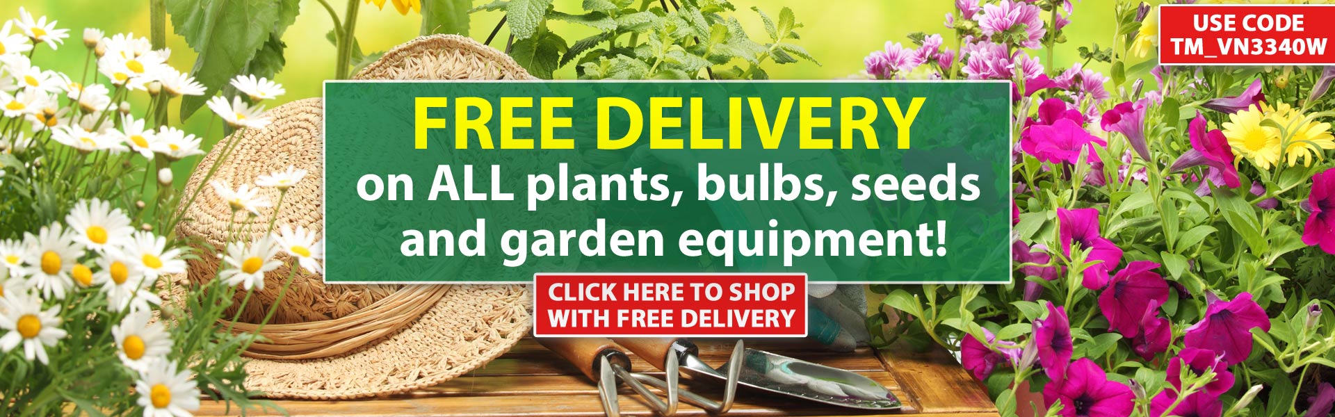 Free Delivery