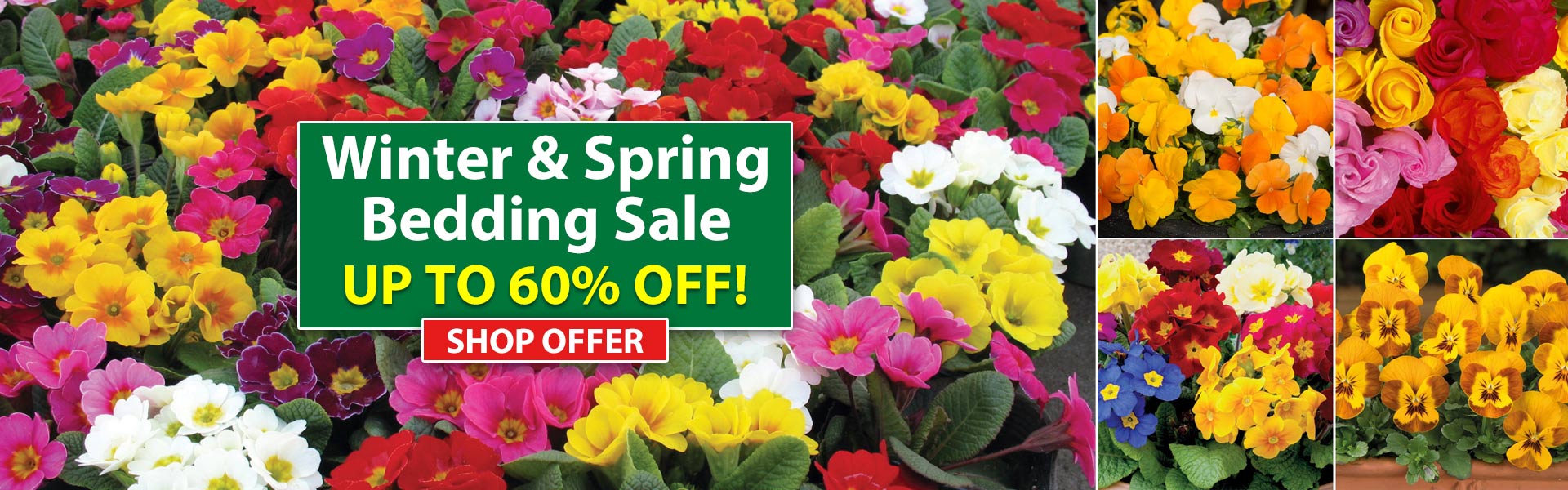 Winter & Spring Bedding Sale