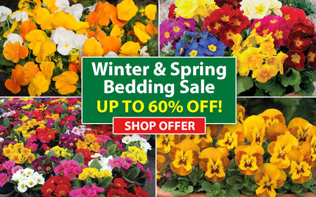 Winter & Spring Bedding Sale