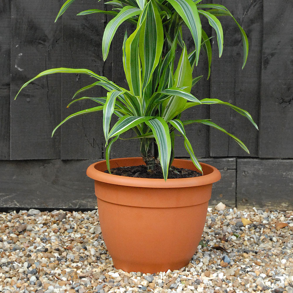 Garden Pot