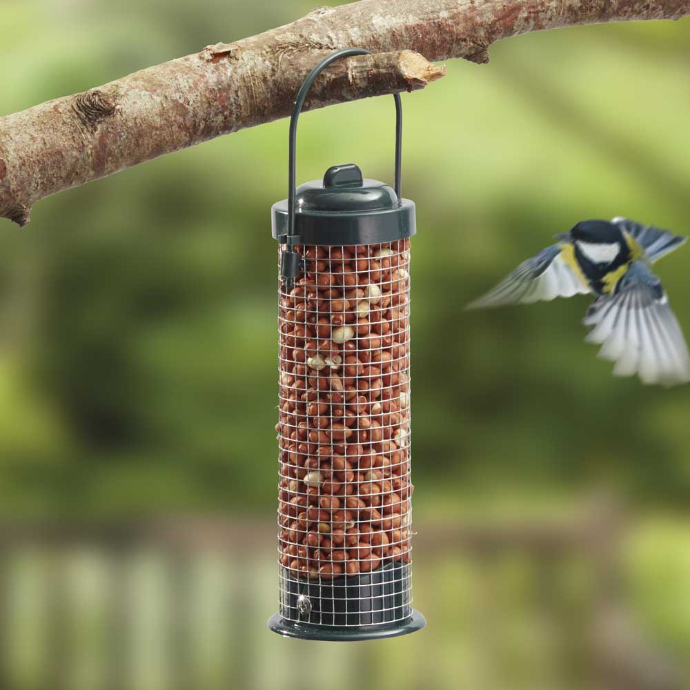 peanut dispenser for birds