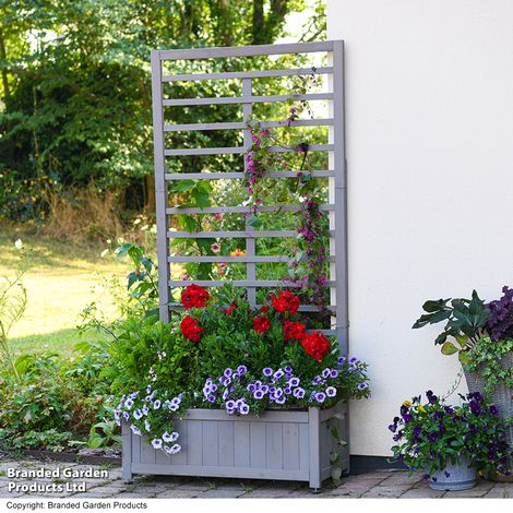 Raised Wooden Planter with Climbing Trellis