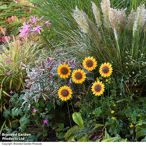 Garden Gear Metal Sunflower Stakes