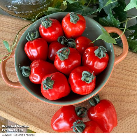 Tomato 'Appleberry Bright Red'