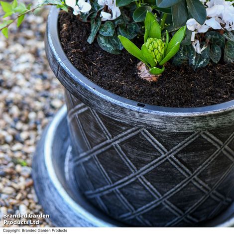 Black & Pewter Flowerpot with Saucer