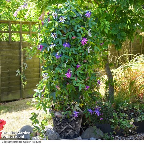 Black & Pewter Tower Pot