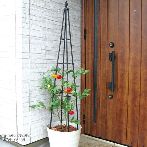 Garden Gear Metal Tower Trellis