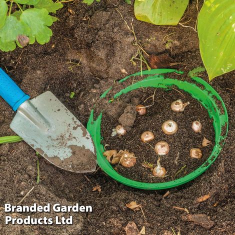 Bulb Baskets