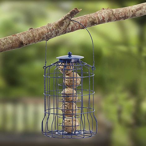 Nature S Market Wild Bird Suet Ball Feeder With Squirrel Guard